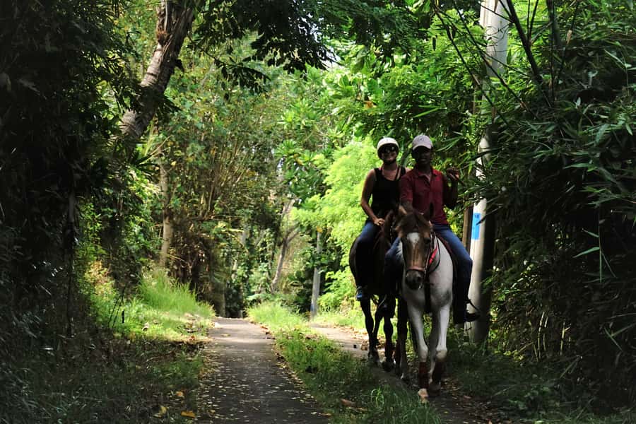 Bali: Horse Riding on Pigstone Beach and in the Rice Fields - What could make the ride less enjoyable