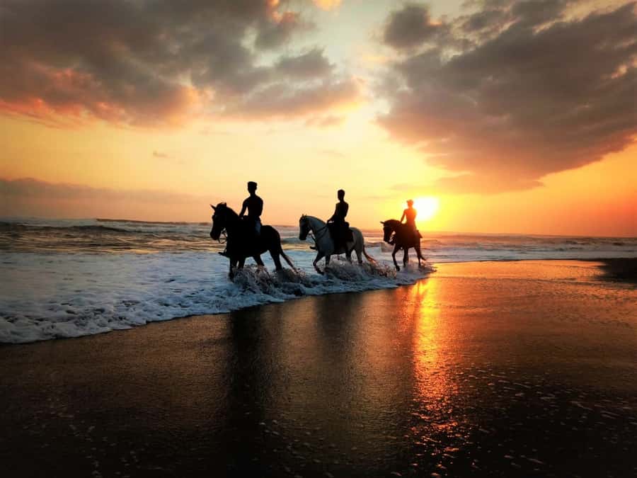 Bali: Horse Riding on Pigstone Beach and in the Rice Fields - From Kuda P Stables to Bali’s rice fields