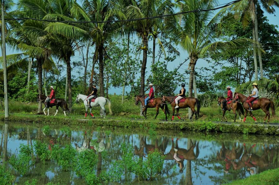 Bali: Horse Riding on Pigstone Beach and in the Rice Fields - Reaching Pig Stone Beach