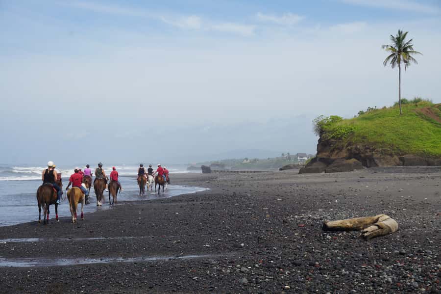 Bali: Horse Riding on Pigstone Beach and in the Rice Fields - How safe and beginner-friendly is the ride?