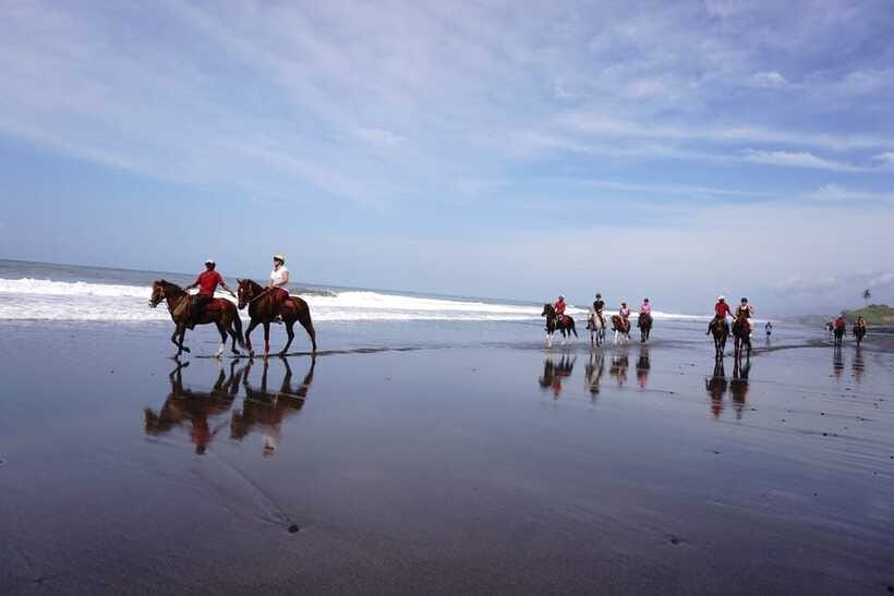Bali: Horse Riding on Pigstone Beach and in the Rice Fields - What the $56 price includes