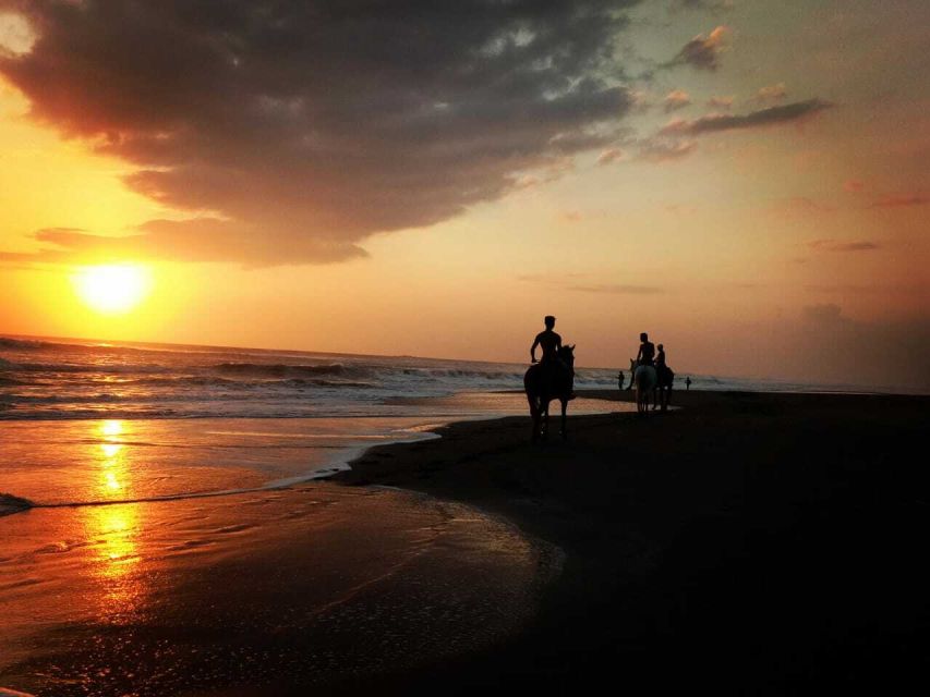 Bali: Horse Riding on Pigstone Beach and in the Rice Fields - Photos, phones, and practical clothing
