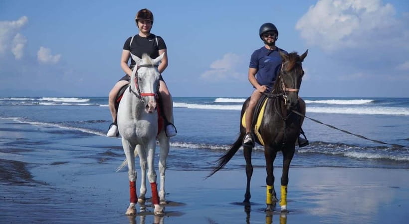Bali: Horse Riding on the beach experience with free shuttle - What the Sanur Beach ride is really like