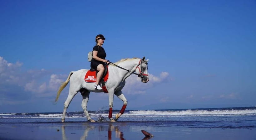 Bali: Horse Riding on the beach experience with free shuttle - From the welcome drink to the saddle