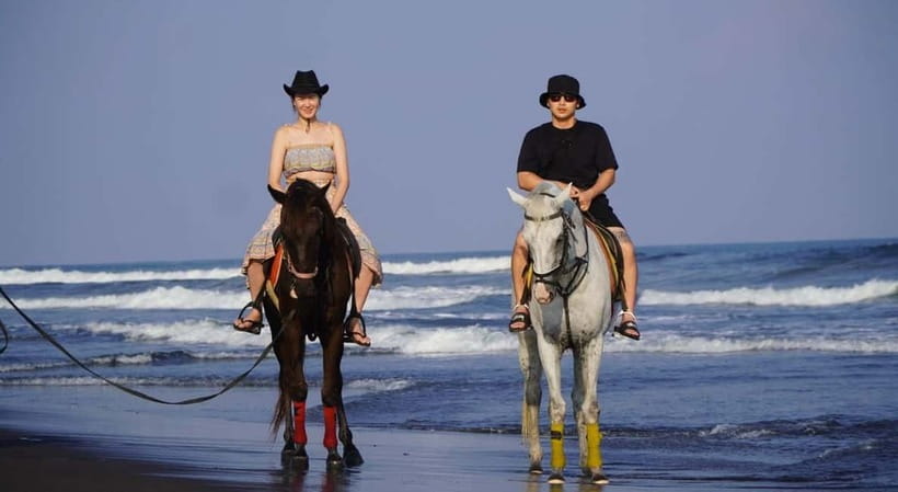 Bali: Horse Riding on the beach experience with free shuttle - Feeding the horses and seeing the stables