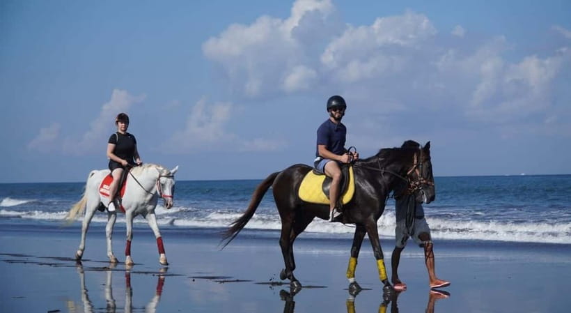 Bali: Horse Riding on the beach experience with free shuttle - Transport, timing, and what to bring