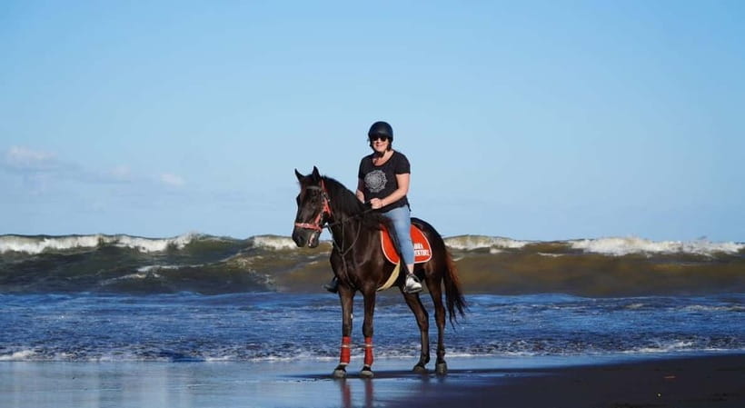 Bali: Horse Riding on the beach experience with free shuttle - Who will enjoy this most?