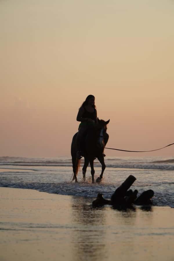 Bali: Horse Riding Sanur Beach Experience with Transport - One hour on Sanur Beach