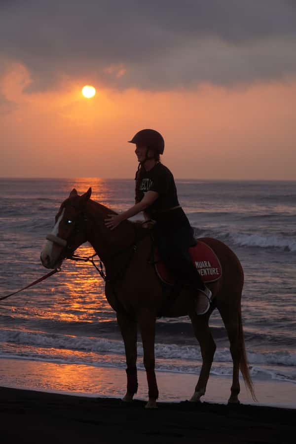 Bali: Horse Riding Sanur Beach Experience with Transport - Safety, comfort, and who should skip it