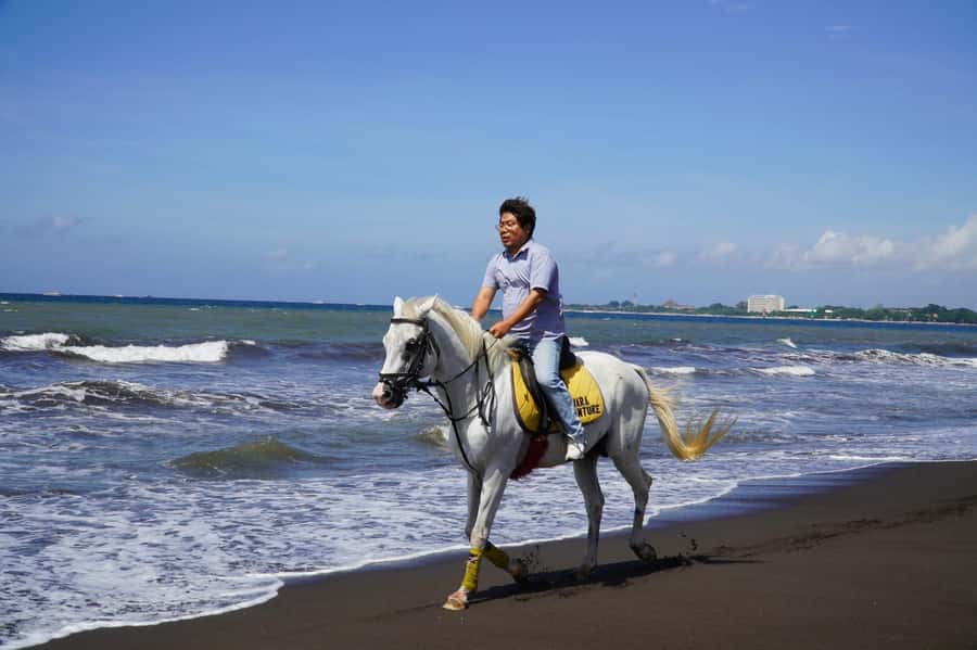 Bali: Horse Riding Sanur Beach Experience with Transport - Should you book this Sanur horse ride?