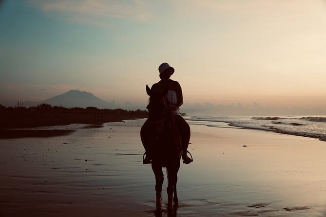 Bali Horse Riding Sanur Beach include Transport - What the black-sand beach ride is really like