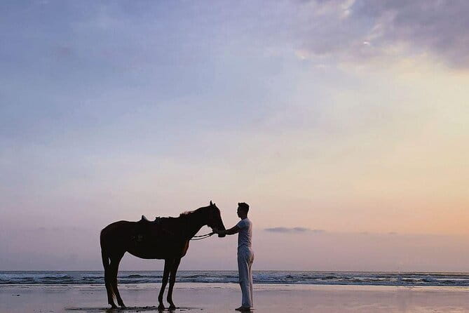 Bali Horse Riding Sanur Beach include Transport - Who should book this Sanur horseback ride?