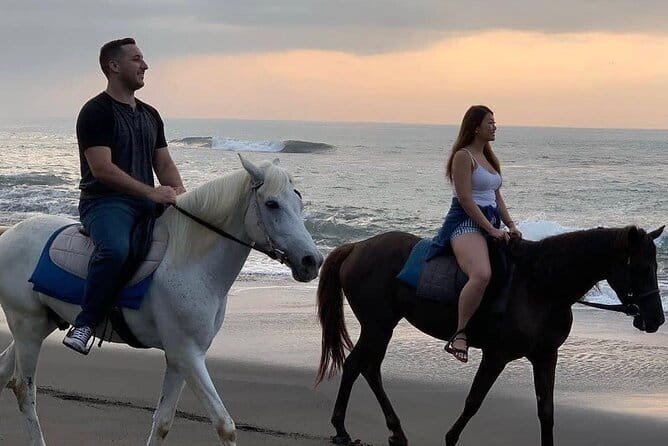 Bali Horse Riding Seminyak Beach Experience Private Transport - Key points to know before you book