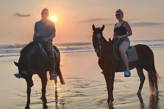 Bali Horse Riding Seminyak Beach Experience Private Transport - What the Seminyak Beach ride is really like