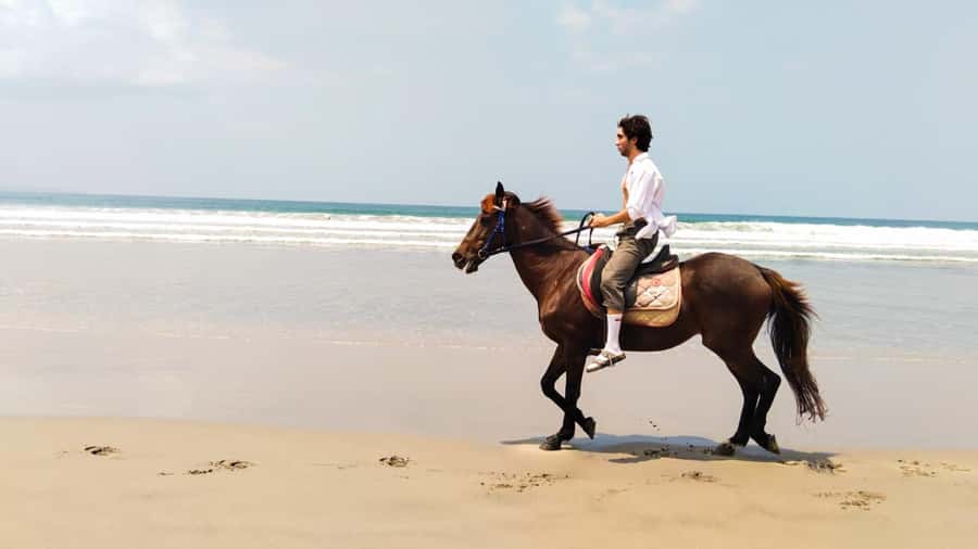 Bali: Horse Riding Tour on Seminyak Beach Include Transport - Is $33 a fair price?