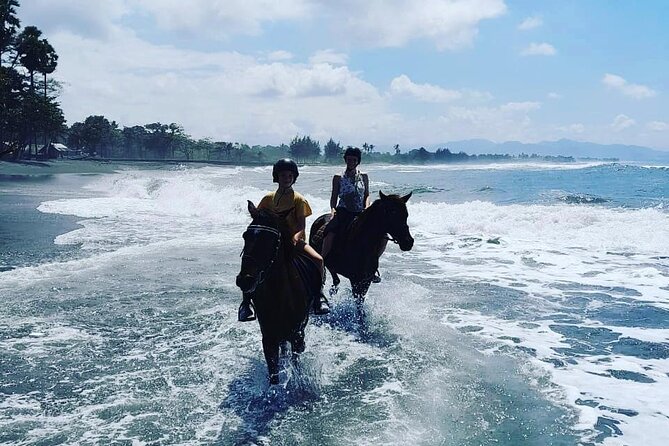 Bali Horse Riding Trot & Canter Saba Beach with Local Temple - What the one-hour outing is likely to feel like