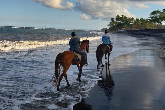Bali Horse Riding Trot & Canter Saba Beach with Local Temple - Photos and video are a real part of the appeal
