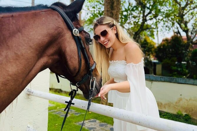 Bali Horse Riding Trot & Canter Saba Beach with Local Temple - What is included for $39