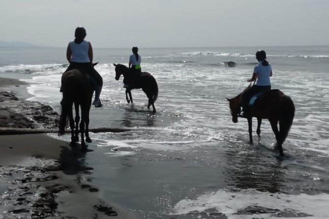 Bali Horse Riding Trot & Canter Saba Beach with Local Temple - Pickup, meeting point, and scheduling advice