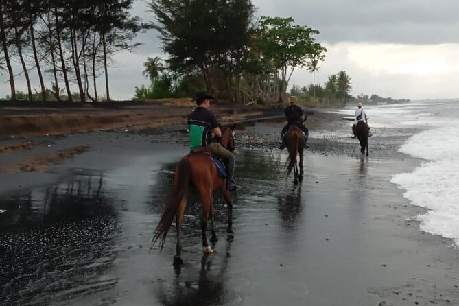 Bali Horse Riding Trot & Canter Saba Beach with Local Temple - Who should book this beach ride?