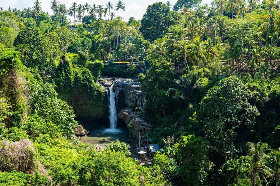 Bali: Horse Riding & Turtle Release Experience at Saba Beach - Waterfall time at Tegenungan or Kanto Lampo