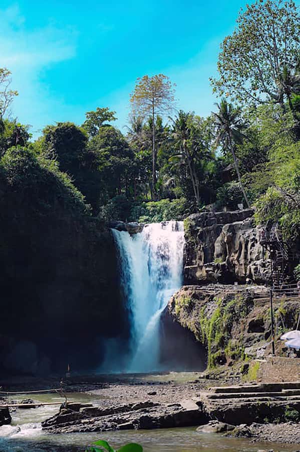 Bali: Horse Riding & Turtle Release Experience at Saba Beach - Coffee, tasting, and the optional Bali swing