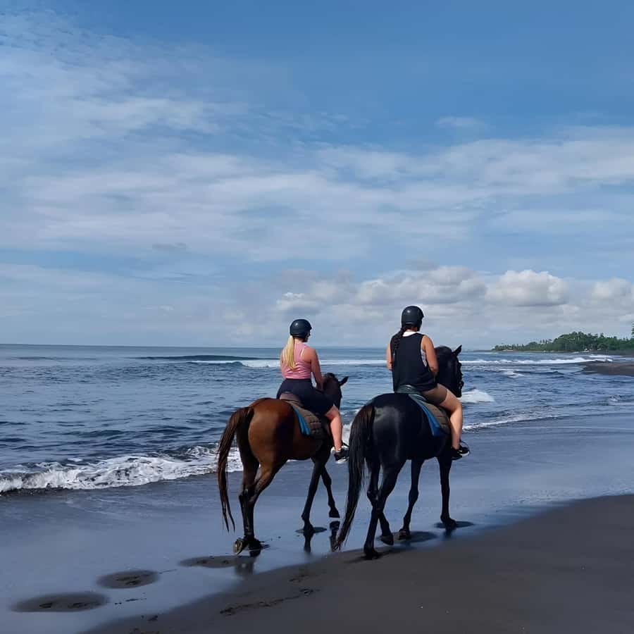 Bali: Horse Riding & Turtle Release Experience at Saba Beach - What to bring and what to check