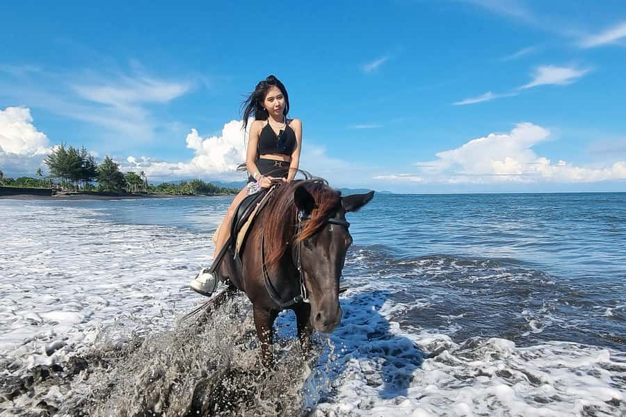 Bali: Horse Riding & Turtle Release Experience at Saba Beach - Should you book the Saba Beach turtle and horse tour?