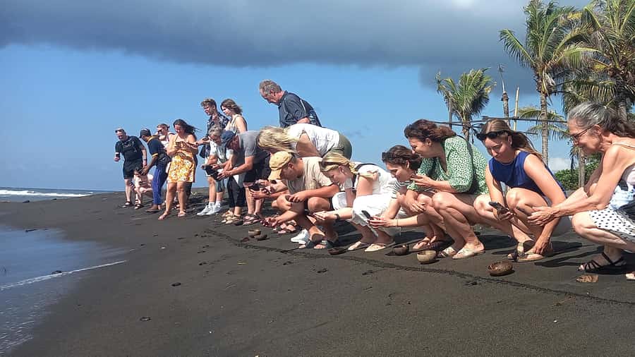 Bali: Horse Riding & Turtle Release Experience at Saba Beach - Saba Beach on horseback
