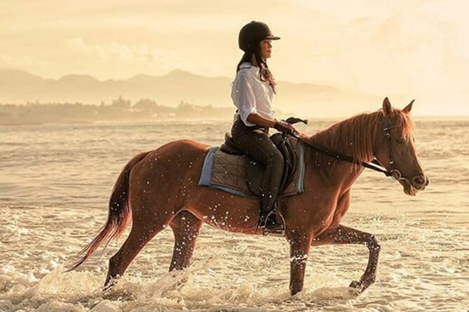 Bali Horse Riding, Waterfall, Rice Terrace, Lunch - All Inclusive - Key points to know before booking