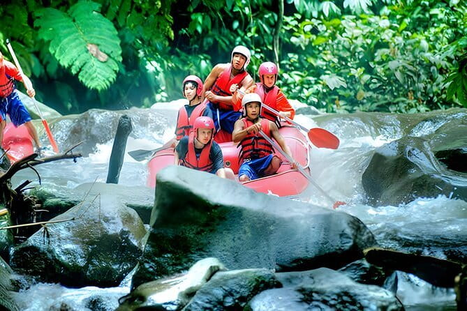 Bali Horse Riding, Waterfall, Rice Terrace, Lunch - All Inclusive - Uma Pakel gives you a look at tropical crops and coffee