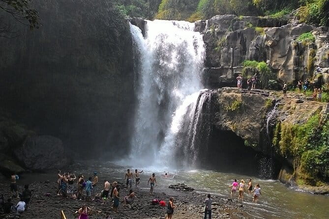 Bali Horse Riding, Waterfall, Rice Terrace, Lunch - All Inclusive - Optional art villages can change the final hour