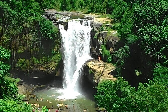 Bali Horse Riding, Waterfall, Rice Terrace, Lunch - All Inclusive - Tegallalang shows Bali’s farming country