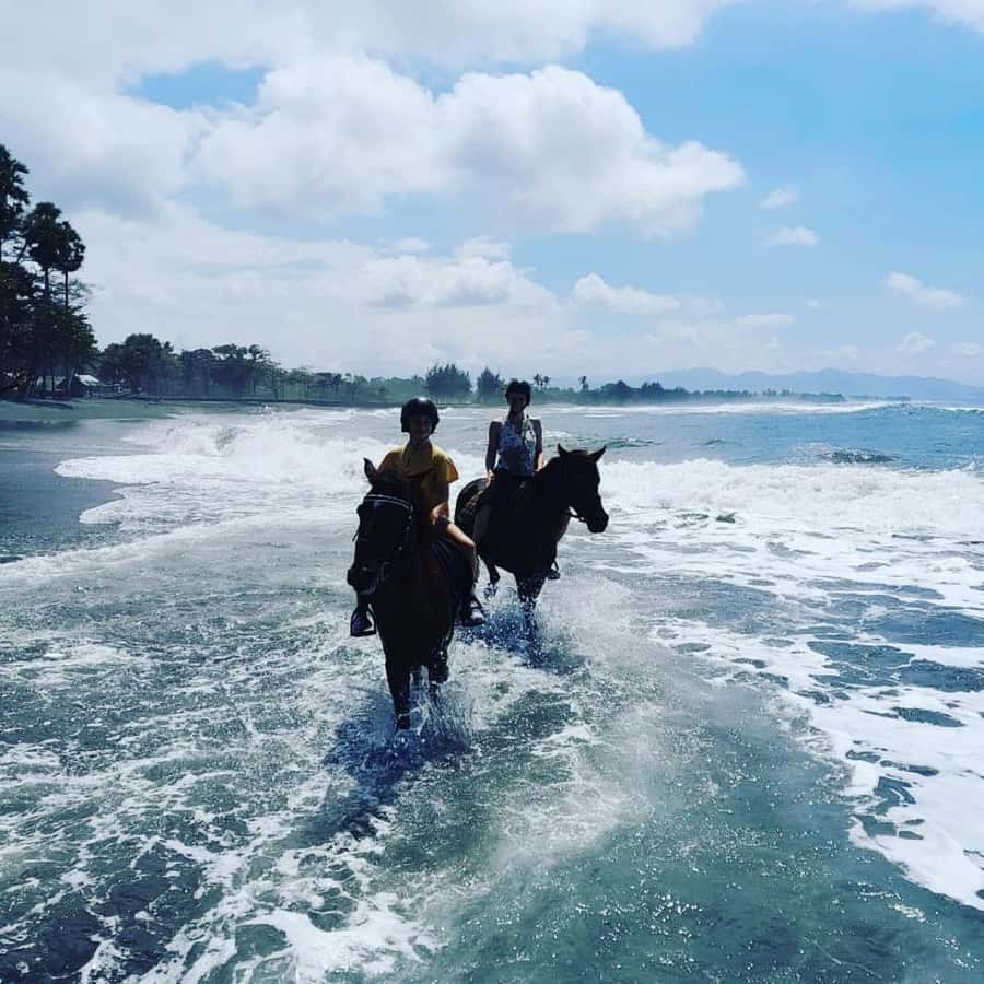 Bali: Horseback Tour Through Saba Beach and Local Temples. - Meeting your horse and learning the basics