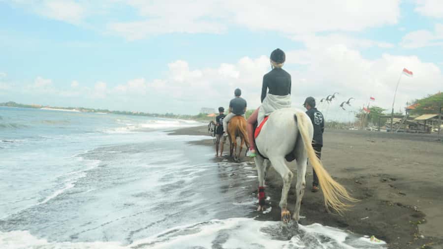 Bali: Sanur Horse Riding for Beginner Experience - Meeting the horses at Tangtu Beach