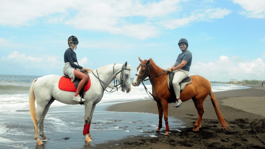 Bali: Sanur Horse Riding for Beginner Experience - Who will enjoy this ride most