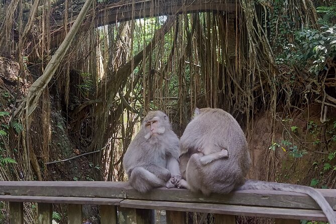 Bali Sunrise Horse Riding and Tour - Coffee and tea close the day at an easier pace