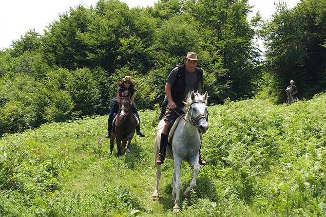 Balkan Horse Riding - Glozhene Monastery Ride - Riding through the century-old beech forest