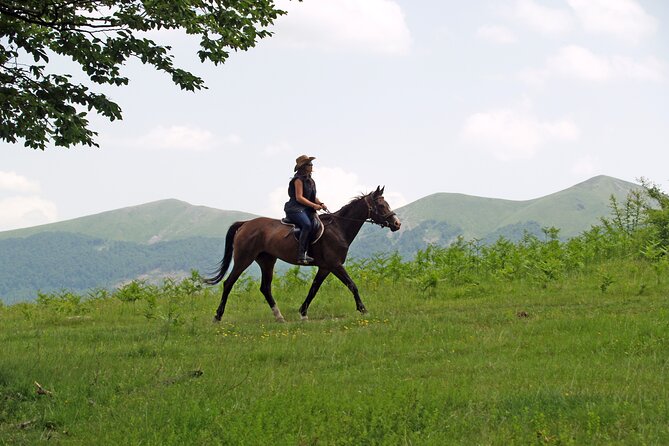 Balkan Horse Riding - Glozhene Monastery Ride - Meeting the horses in Golyam Izvor