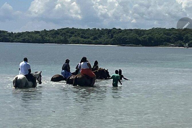 Bamboo Rafting and HorseBack Riding Excursion in OchoRios Jamaica - Two sides of Jamaica in one half-day