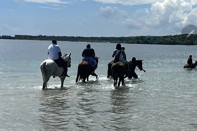 Bamboo Rafting and HorseBack Riding Excursion in OchoRios Jamaica - A scenic drive toward St. Ann’s Bay