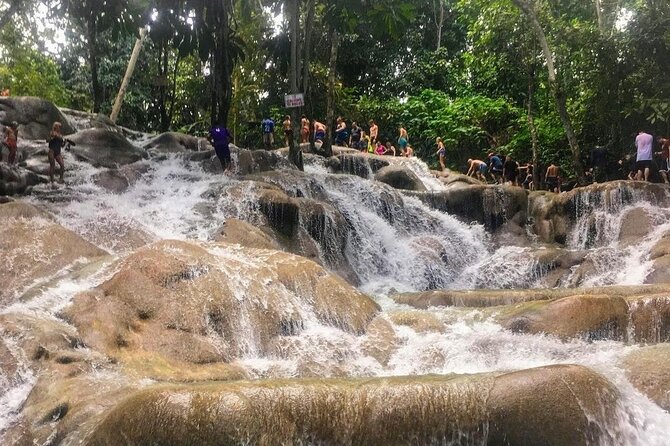 Bamboo Rafting, Dunn's River Falls and Horseback Riding Private Tour - One day, three sides of Jamaica