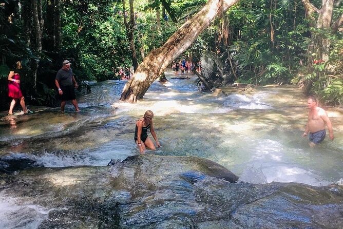 Bamboo Rafting, Dunn's River Falls and Horseback Riding Private Tour - What private transportation adds