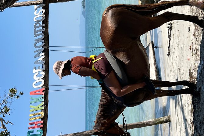 Bamboo Rafting & Horseback -dunns river Transportation Included - Transport, group size, and service standards