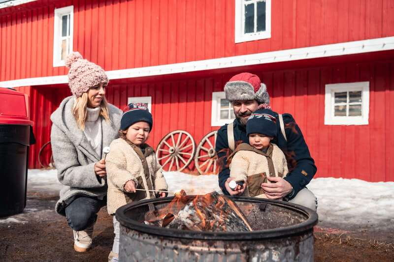 Banff: Family Friendly Horse-Drawn Sleigh Ride - Key points to know before you book
