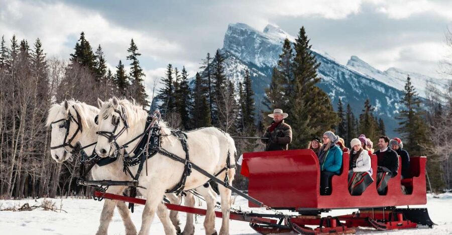 Banff: Family Friendly Horse-Drawn Sleigh Ride - Who will enjoy this Banff sleigh ride most?