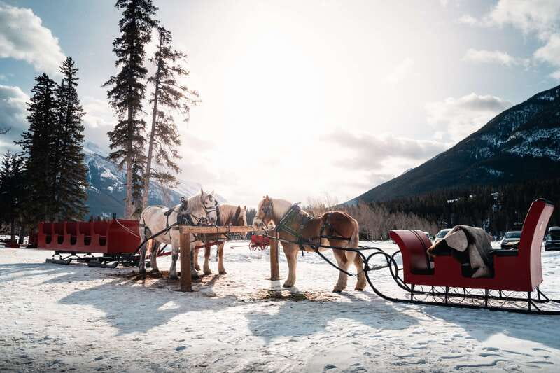 Banff: Family Friendly Horse-Drawn Sleigh Ride - The ride through Banff’s mountain meadows