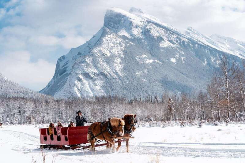 Banff: Family Friendly Horse-Drawn Sleigh Ride - Hot chocolate, cider, and a fire after the sleigh