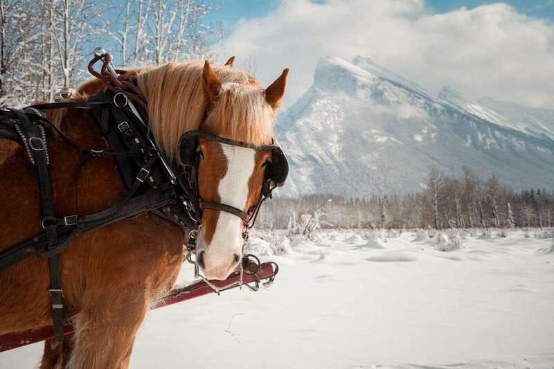 Banff: Family Friendly Horse-Drawn Sleigh Ride - Finding the big red stables on Sundance Road