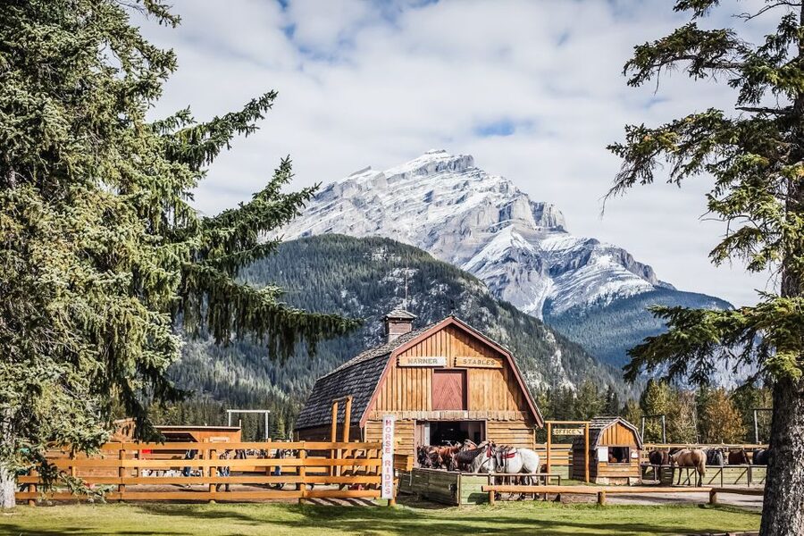 Banff National Park: 1-Hour Bow River Horseback Ride - What the One-Hour Length Really Means